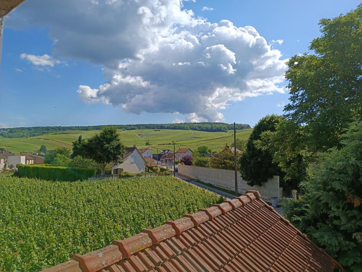 Gite Independant Diz'Enreves Au Coeur Des Vignes Dizy Exterior photo